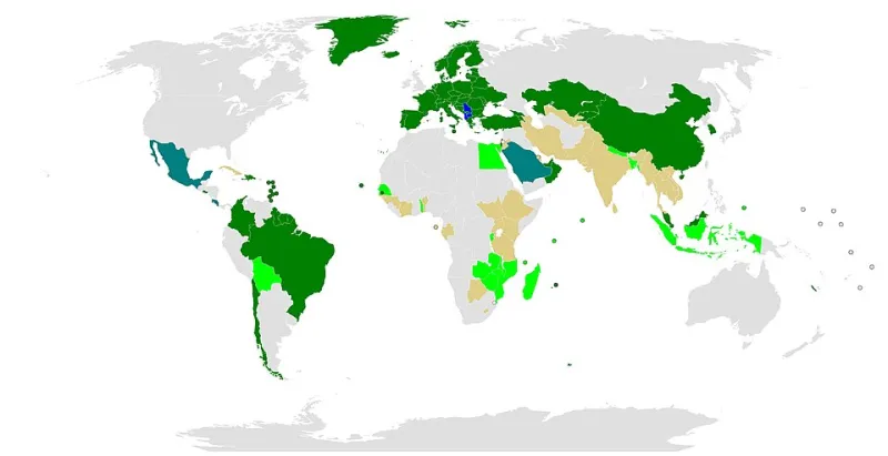 Not All EU Doors Open Equally: The Hidden Variables Behind American Volunteer Visa Outcomes